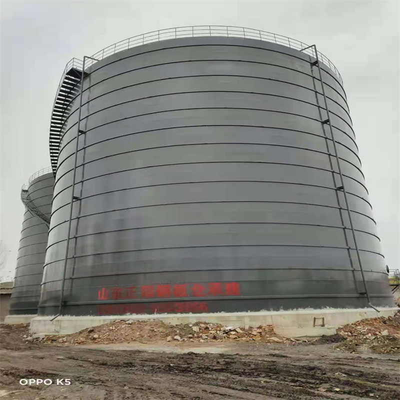 清苑3万吨大型钢板库